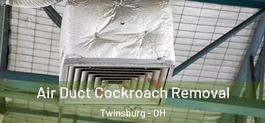  Air Duct Cockroach Removal Twinsburg - OH