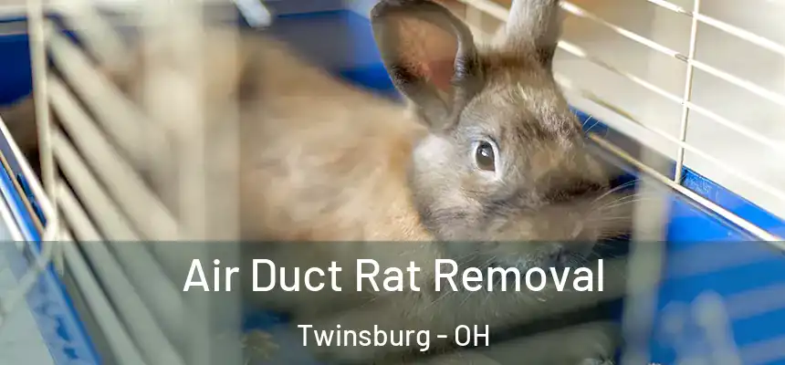  Air Duct Rat Removal Twinsburg - OH